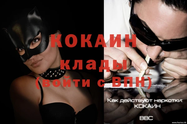 стаф Володарск