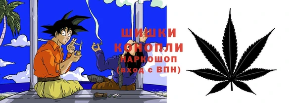 стаф Володарск