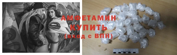 стаф Володарск