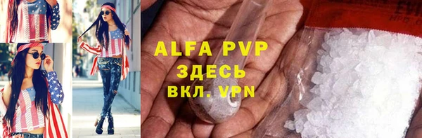 стаф Володарск