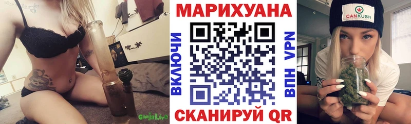 Шишки марихуана Amnesia Новая Ладога
